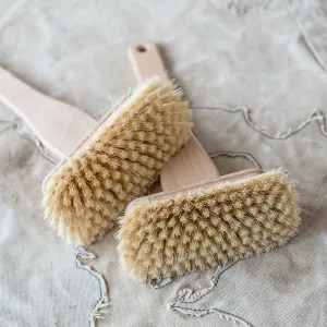 Brush - Tub Scrubbing with Long Handle