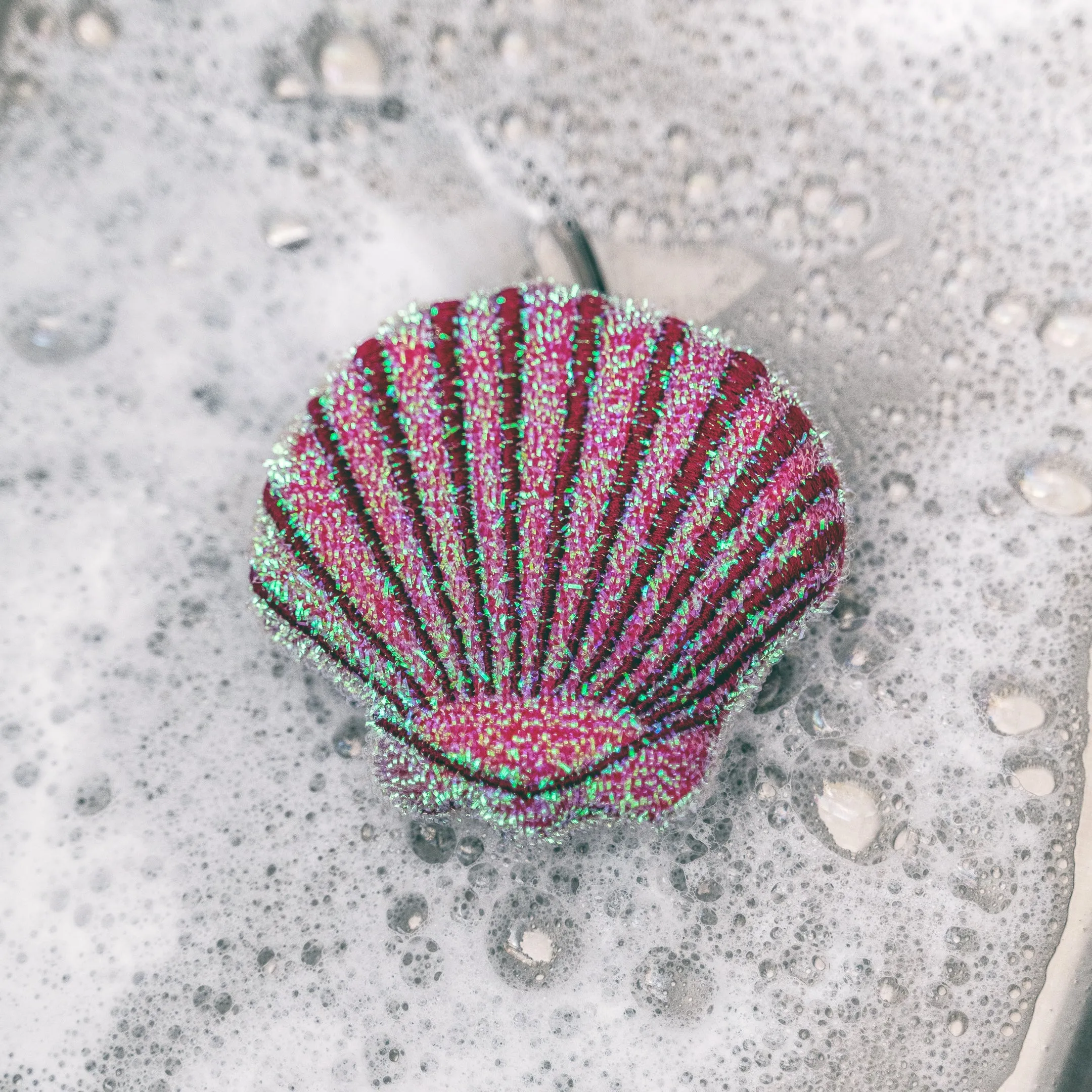 Seashell Scrub Sponge